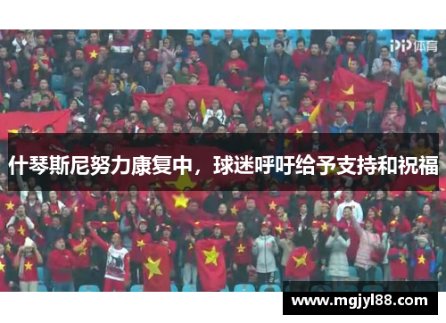 什琴斯尼努力康复中，球迷呼吁给予支持和祝福